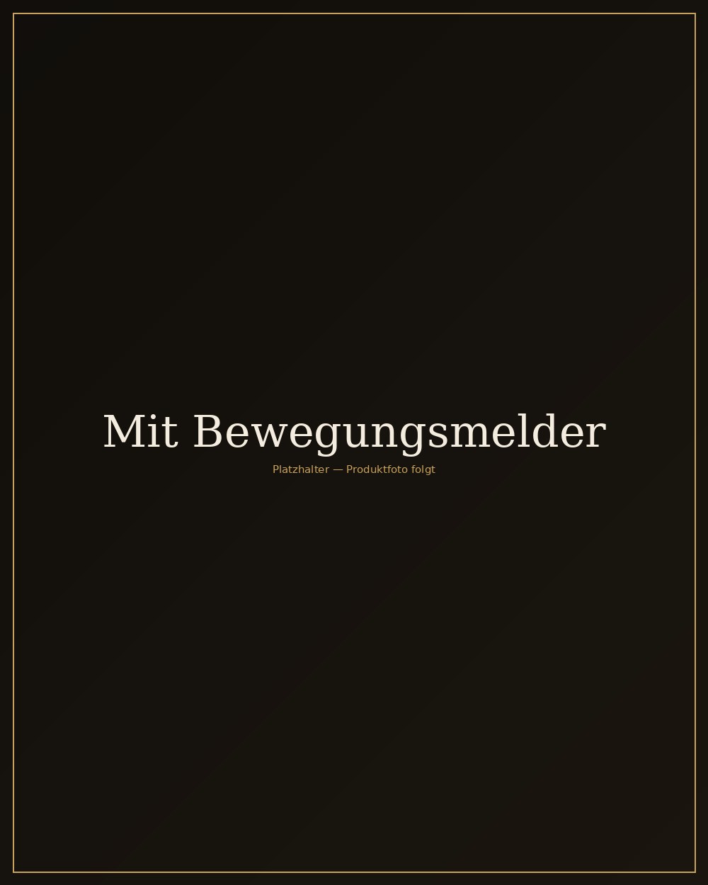 Messing Wandleuchte mit Bewegungsmelder Flur